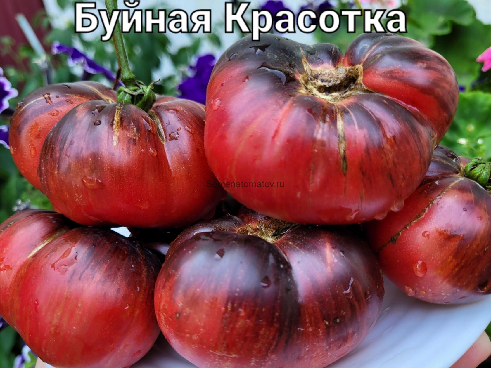 Буйная красотка. Lovely lush