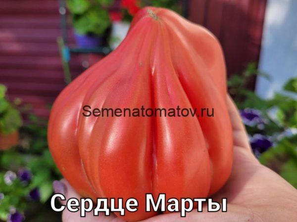 MARTHA'S HEART Cердце Марты Италия