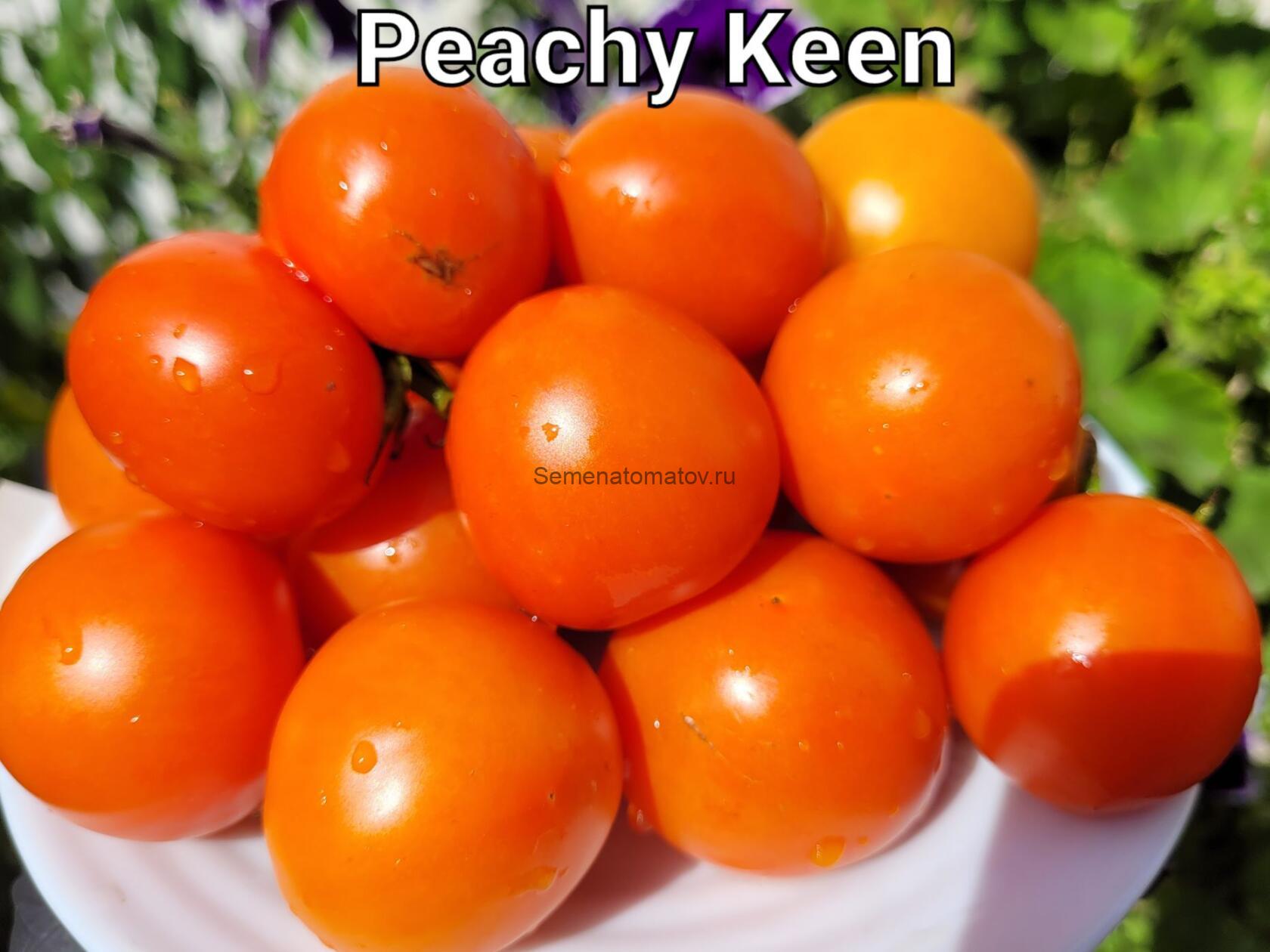 Peachy Keen  Персиковый Кин