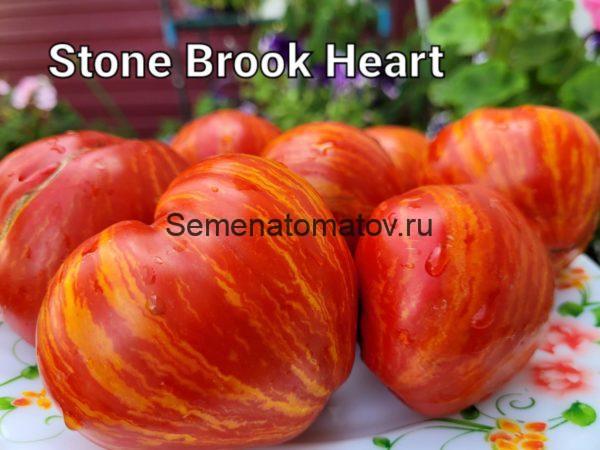 Dwarf Stony Brook Heart Tomato  Гном Stony Brook Heart