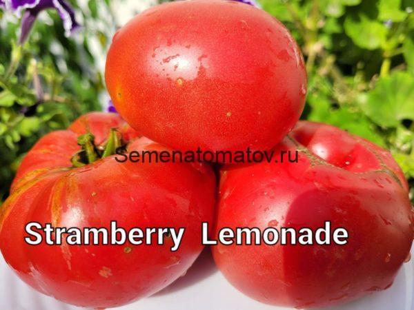 Dwarf Strawberry Lemonade Tomato Гном Клубничный Лимонад