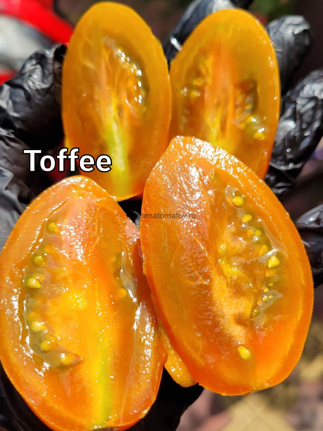 Toffee Ириска — изображение 2