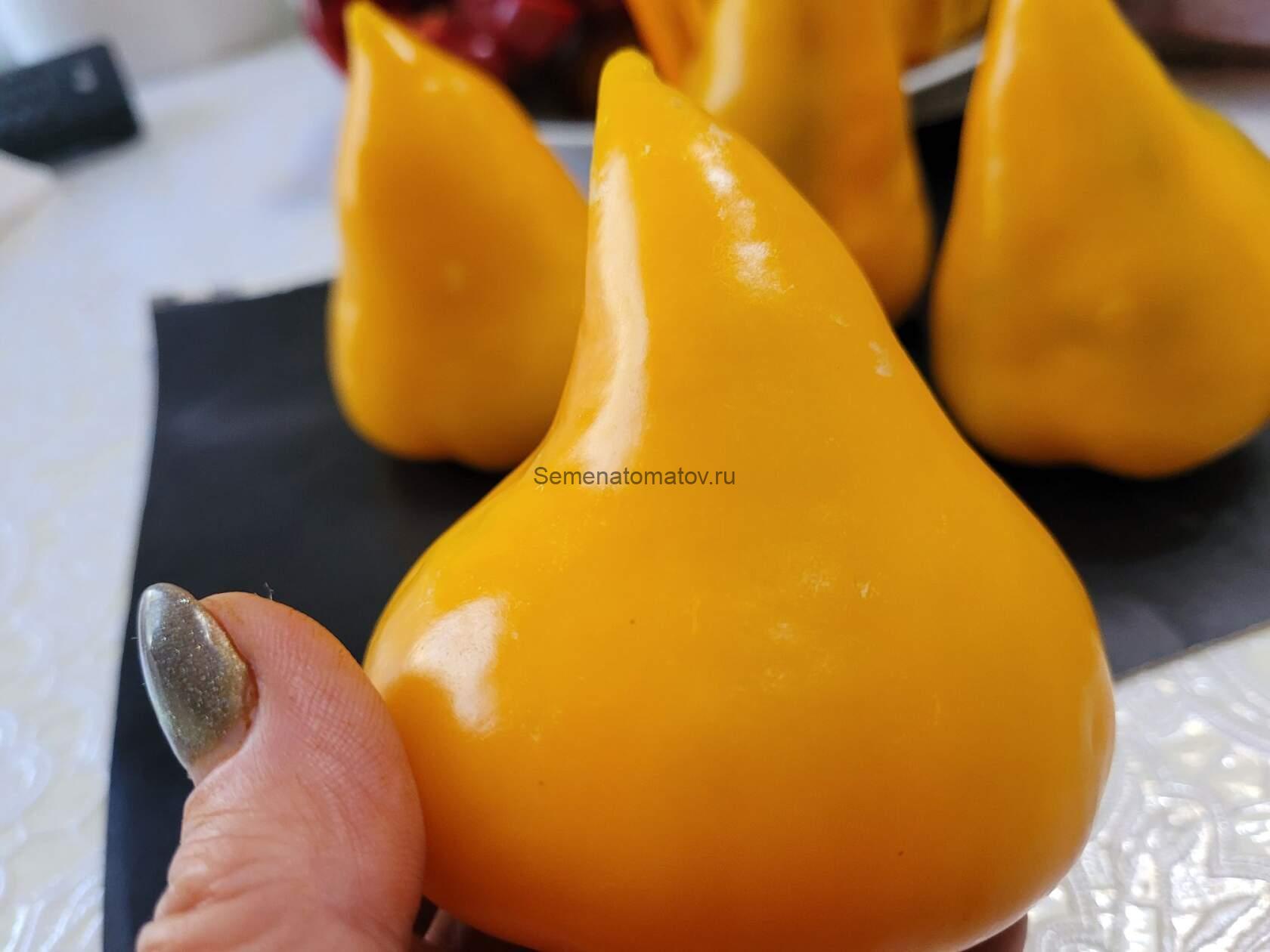 Леся Желтая.Lesya Yellow — изображение 5