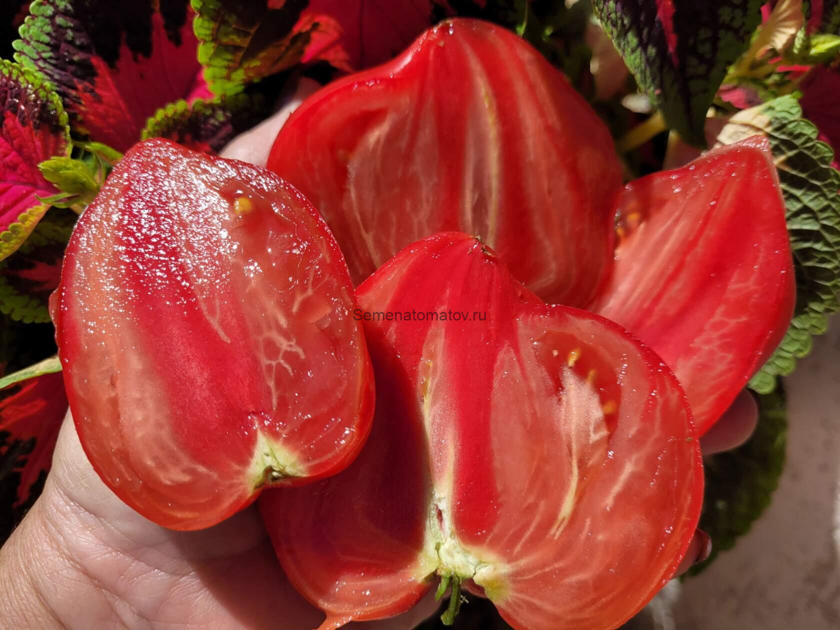 MARTHA'S HEART Cердце Марты Италия — изображение 7