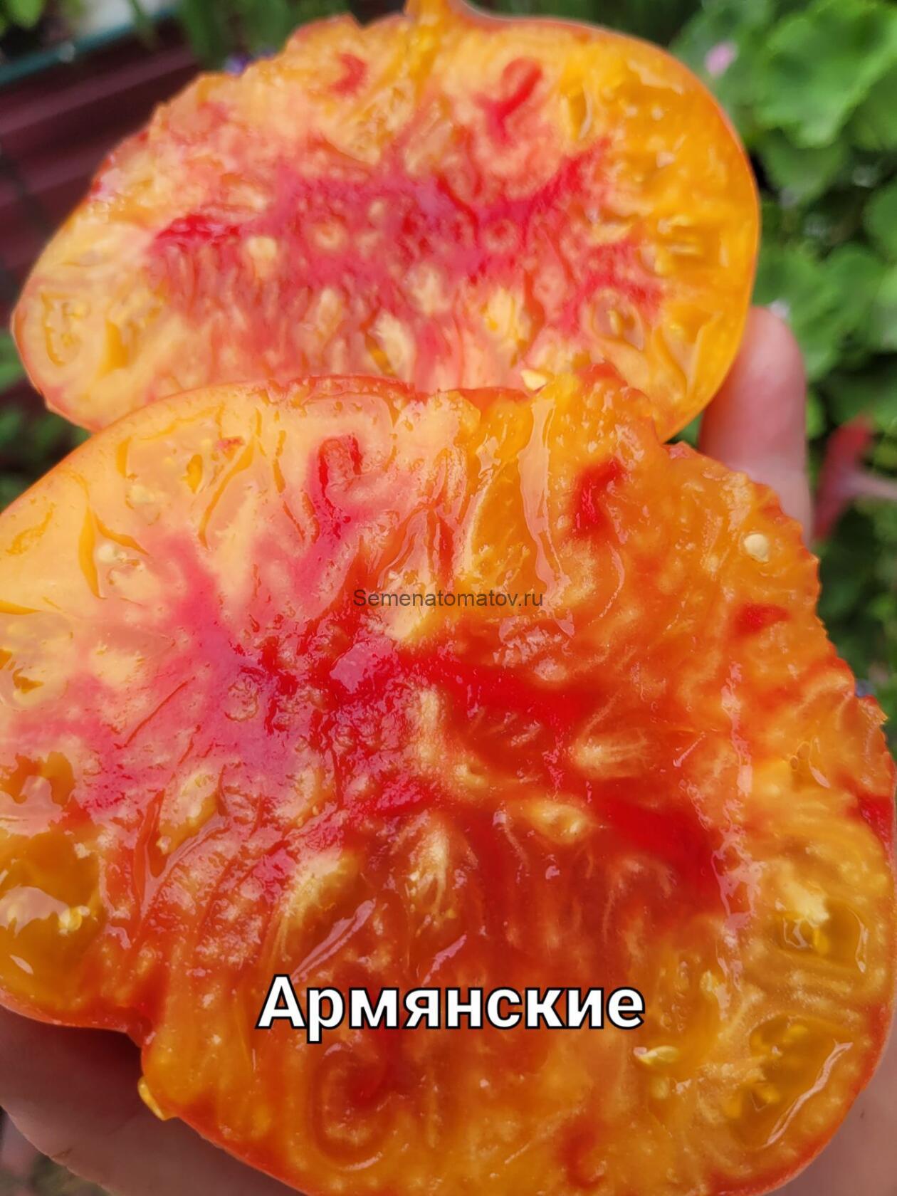 Армянские — изображение 2