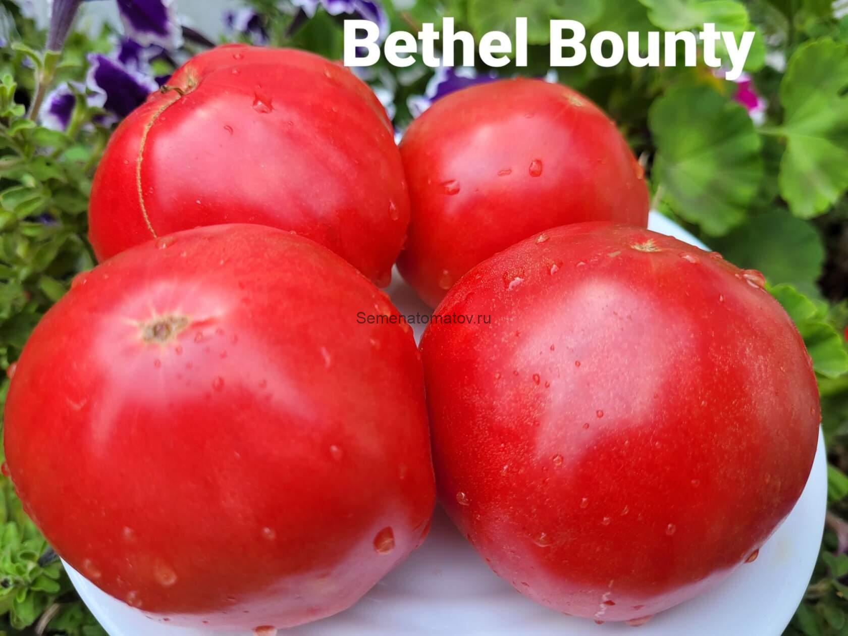 Bethel Bounty Вефильская Щедрость