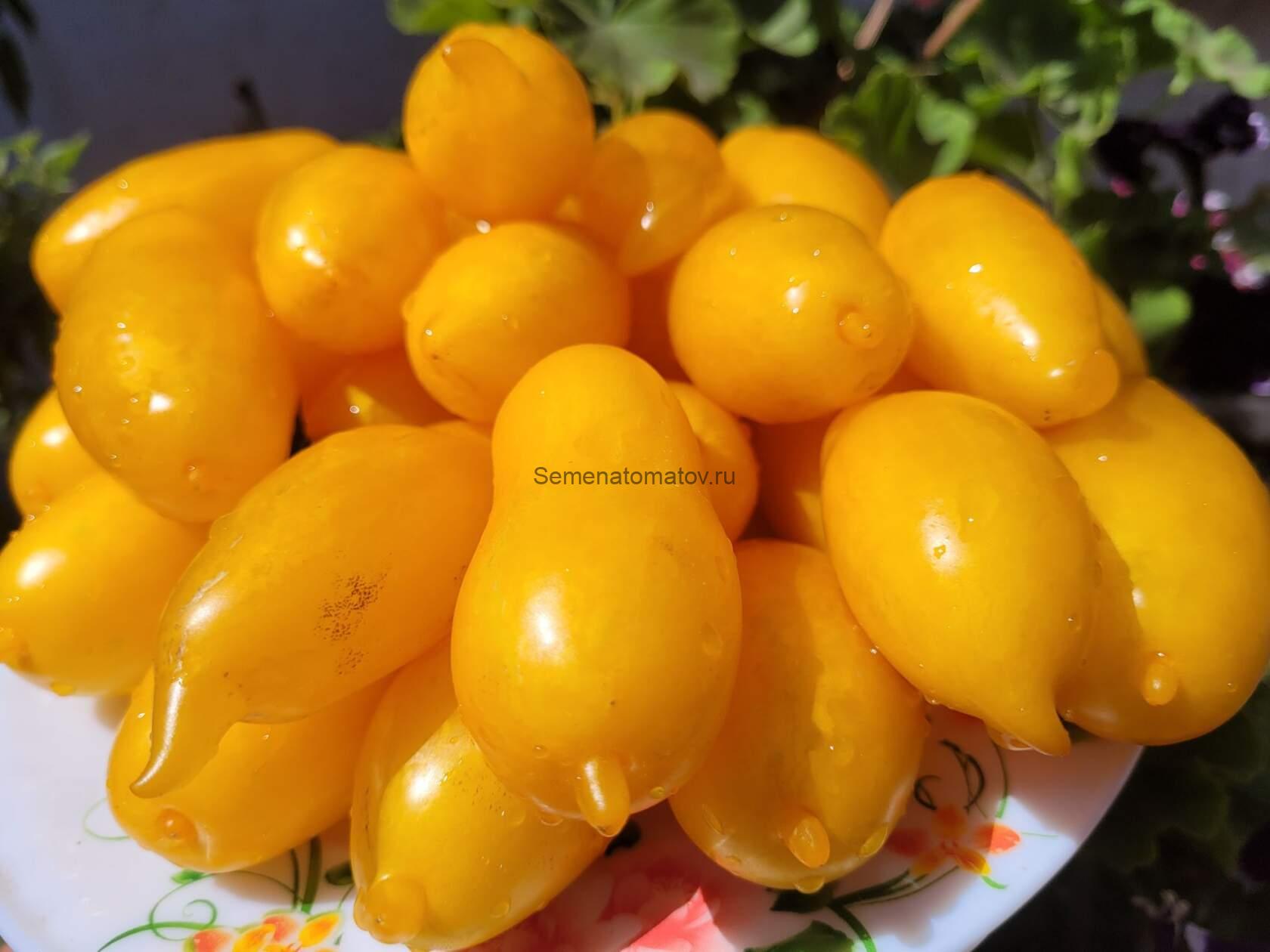 Длинный Чулок