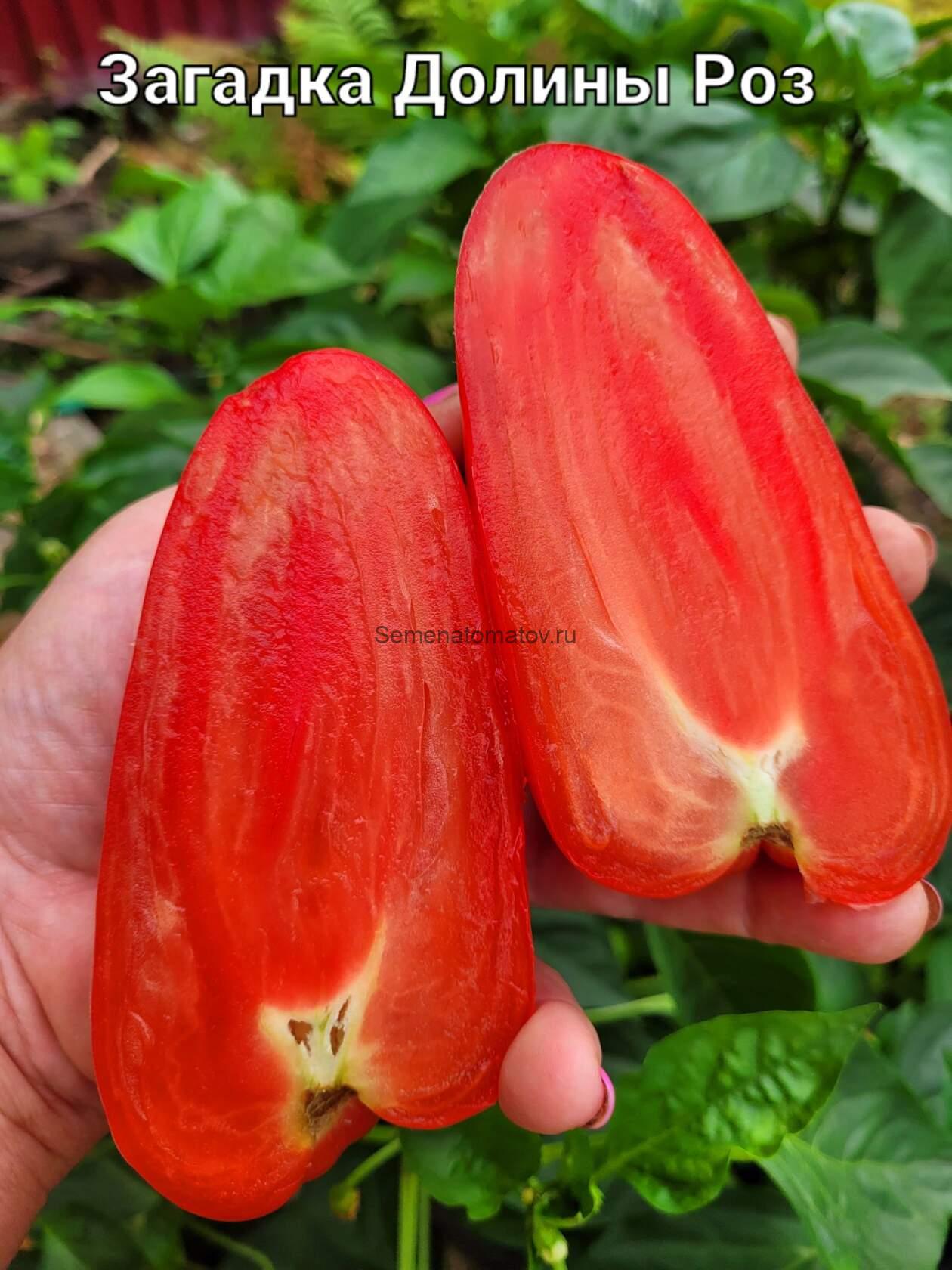 Загадка Долины Роз сердцевидная — изображение 2