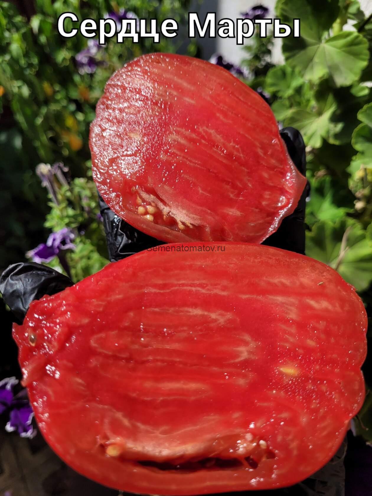 MARTHA'S HEART Cердце Марты Италия — изображение 4