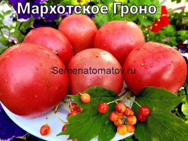 Мархотское Гроно (Мархотская Кисть)