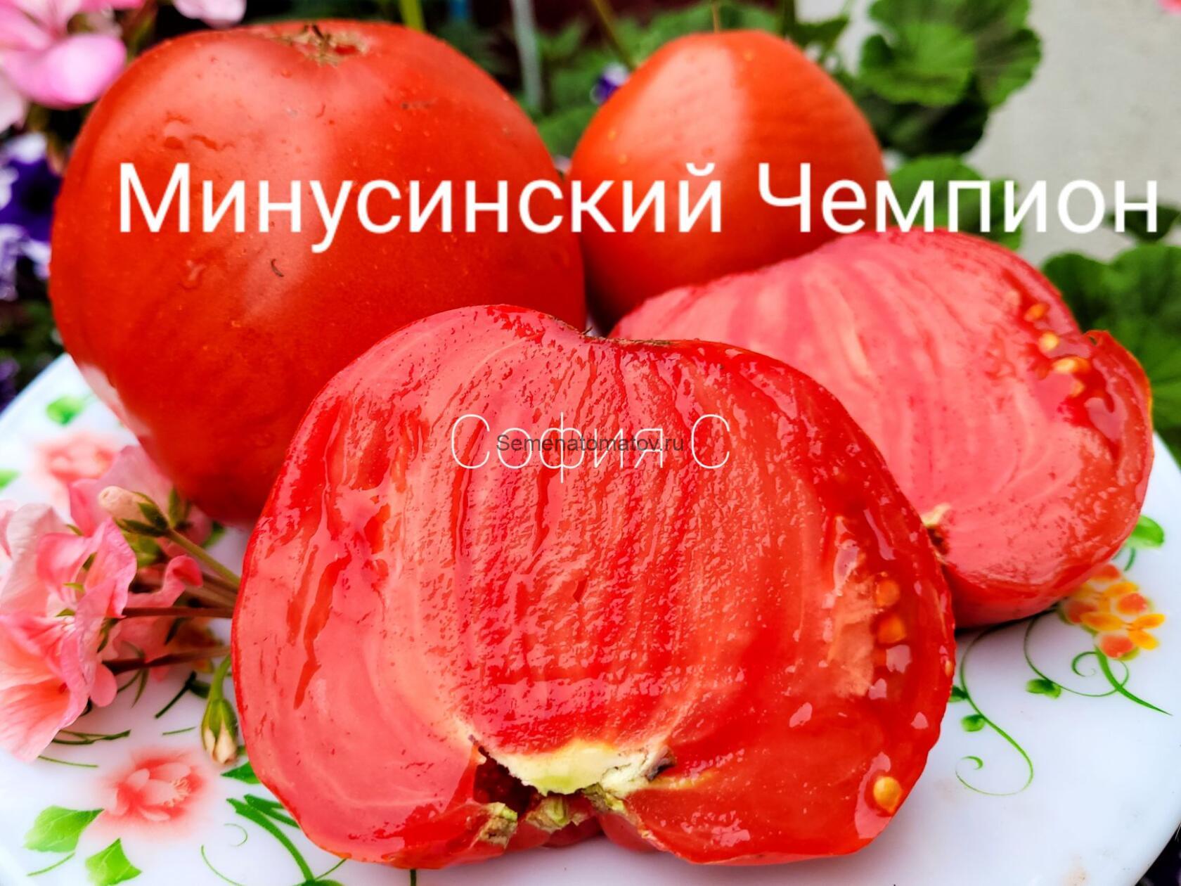 Минусинский Чемпион