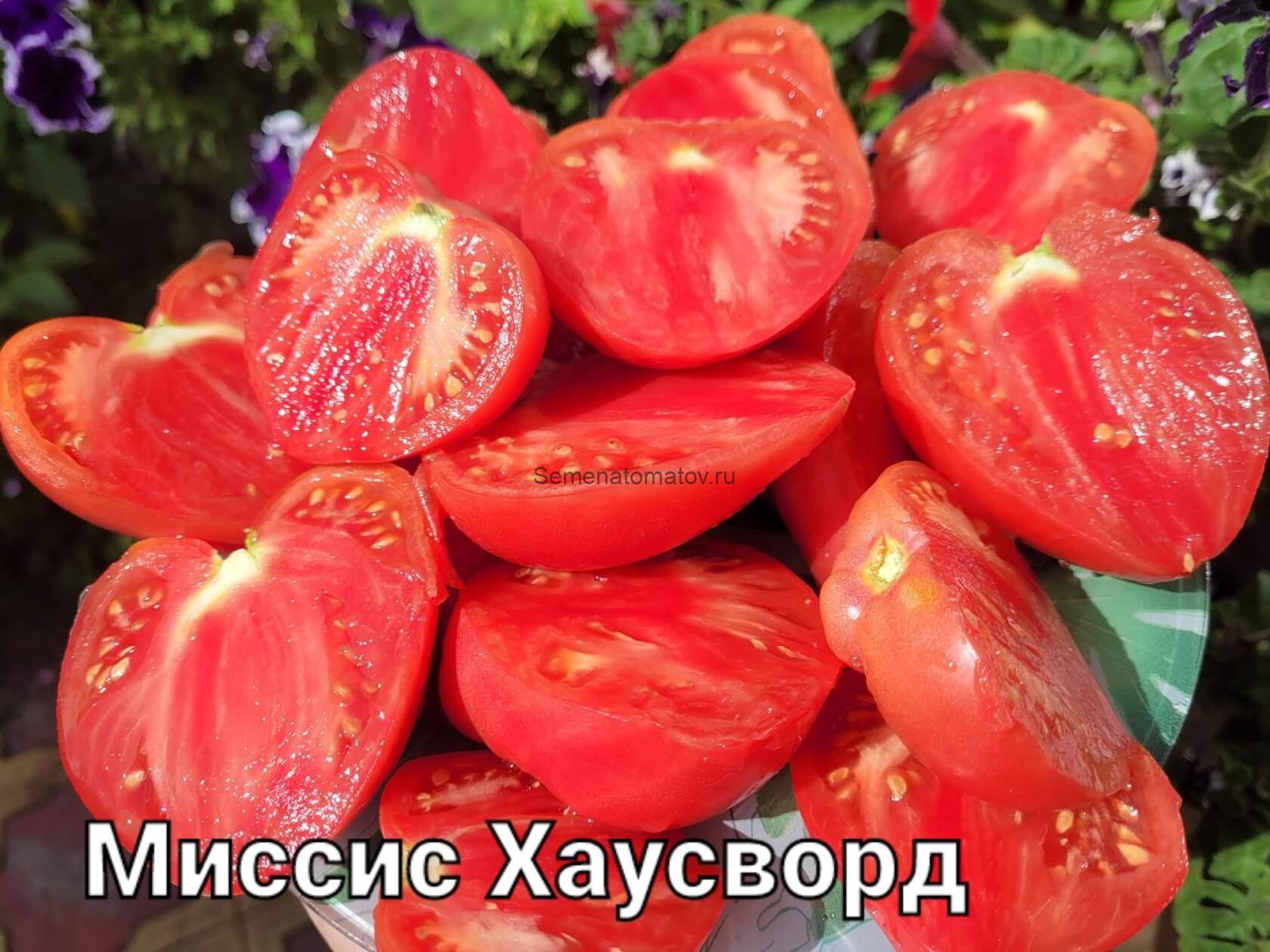 Миссис Хаусворт ( Mrs. Houseworth,) — изображение 2