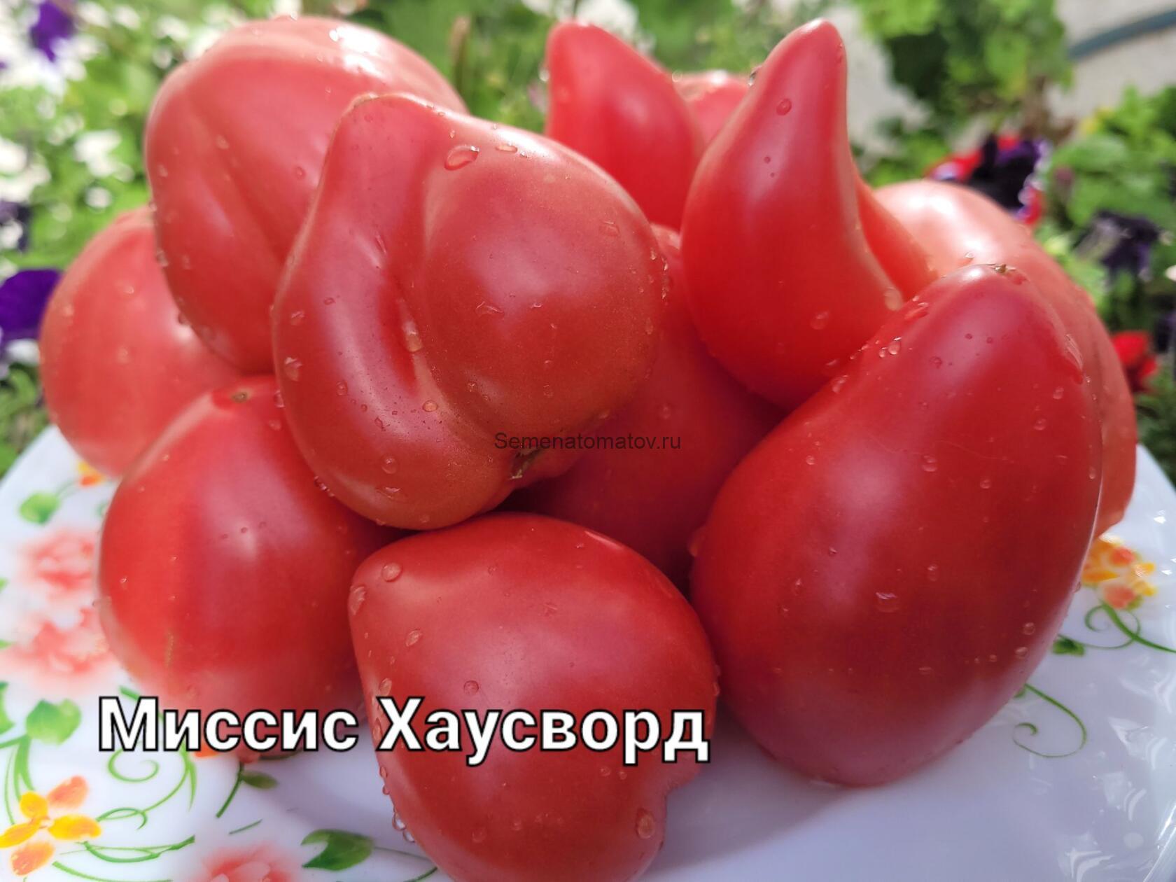 Миссис Хаусворт ( Mrs. Houseworth,)
