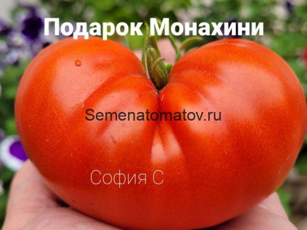 Подарок Монахини Россия