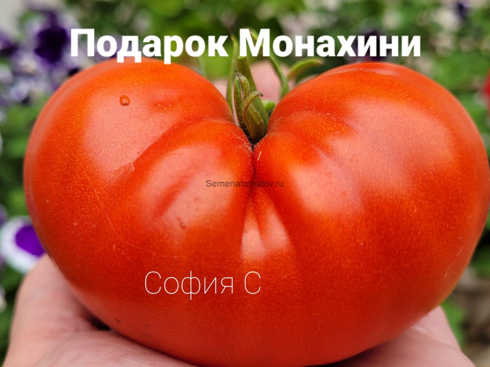 Подарок Монахини Россия
