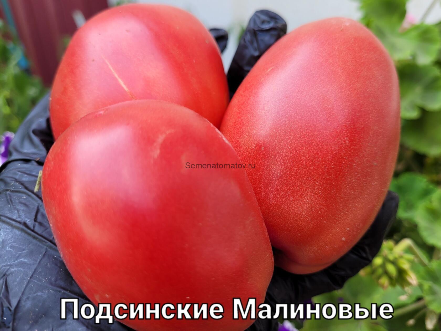 Подсинские Малиновые