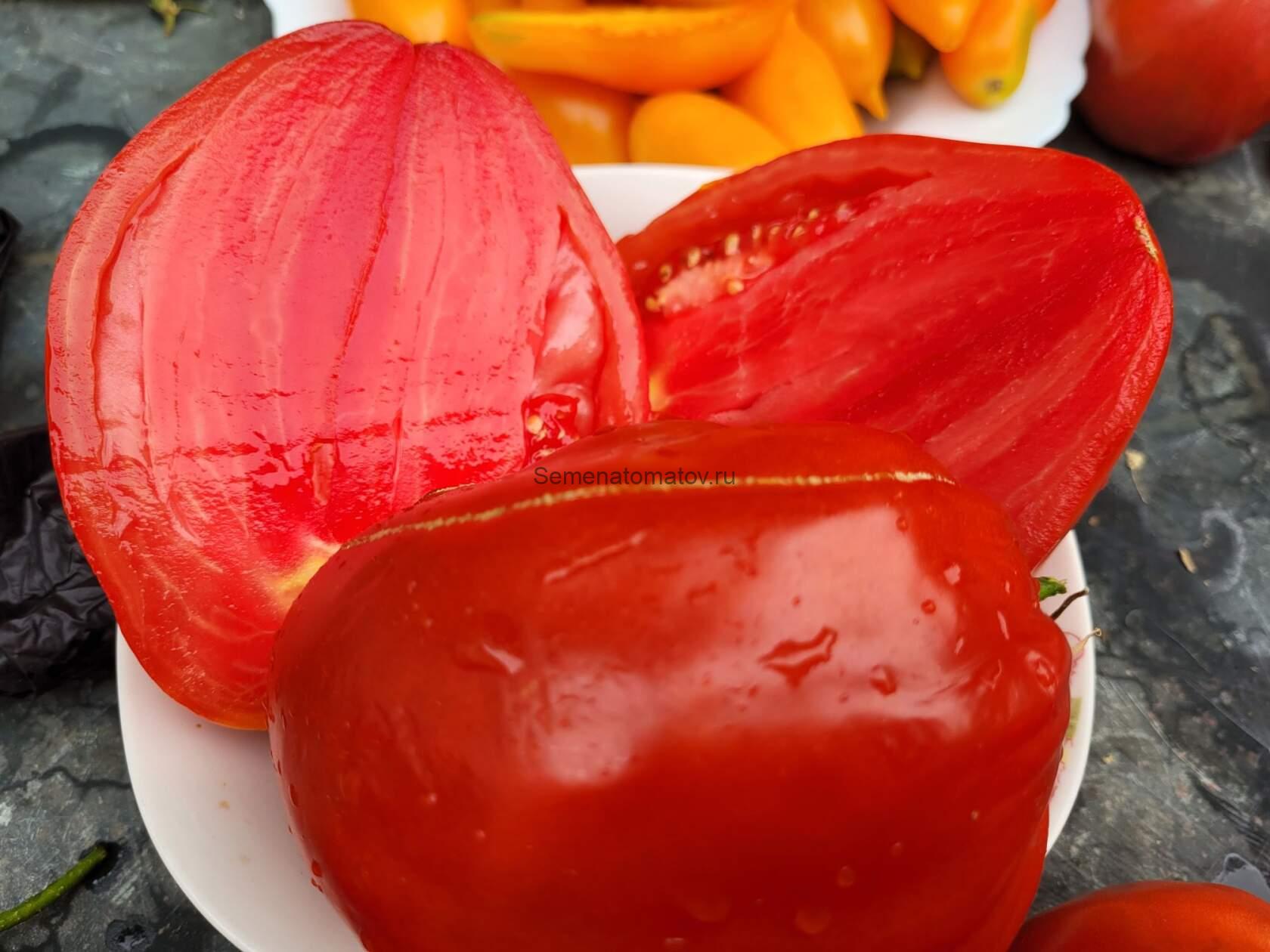 Русский Оксхарт (Russian Oxheart) Канада — изображение 2