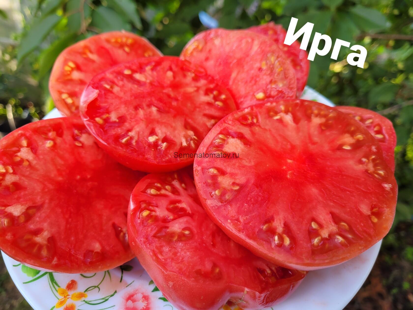 Ырга — изображение 2