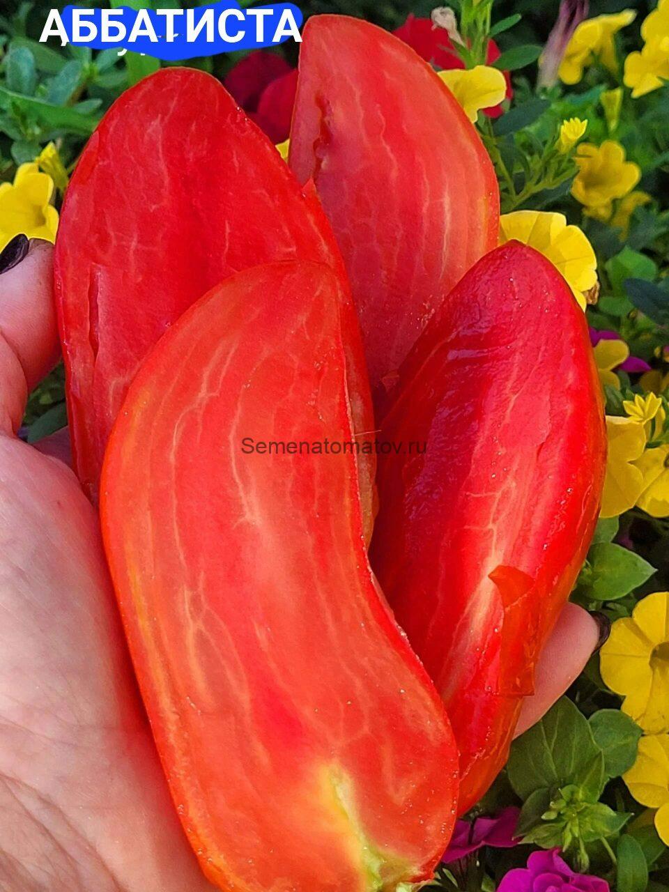 Abbattista Аббатиста — изображение 4