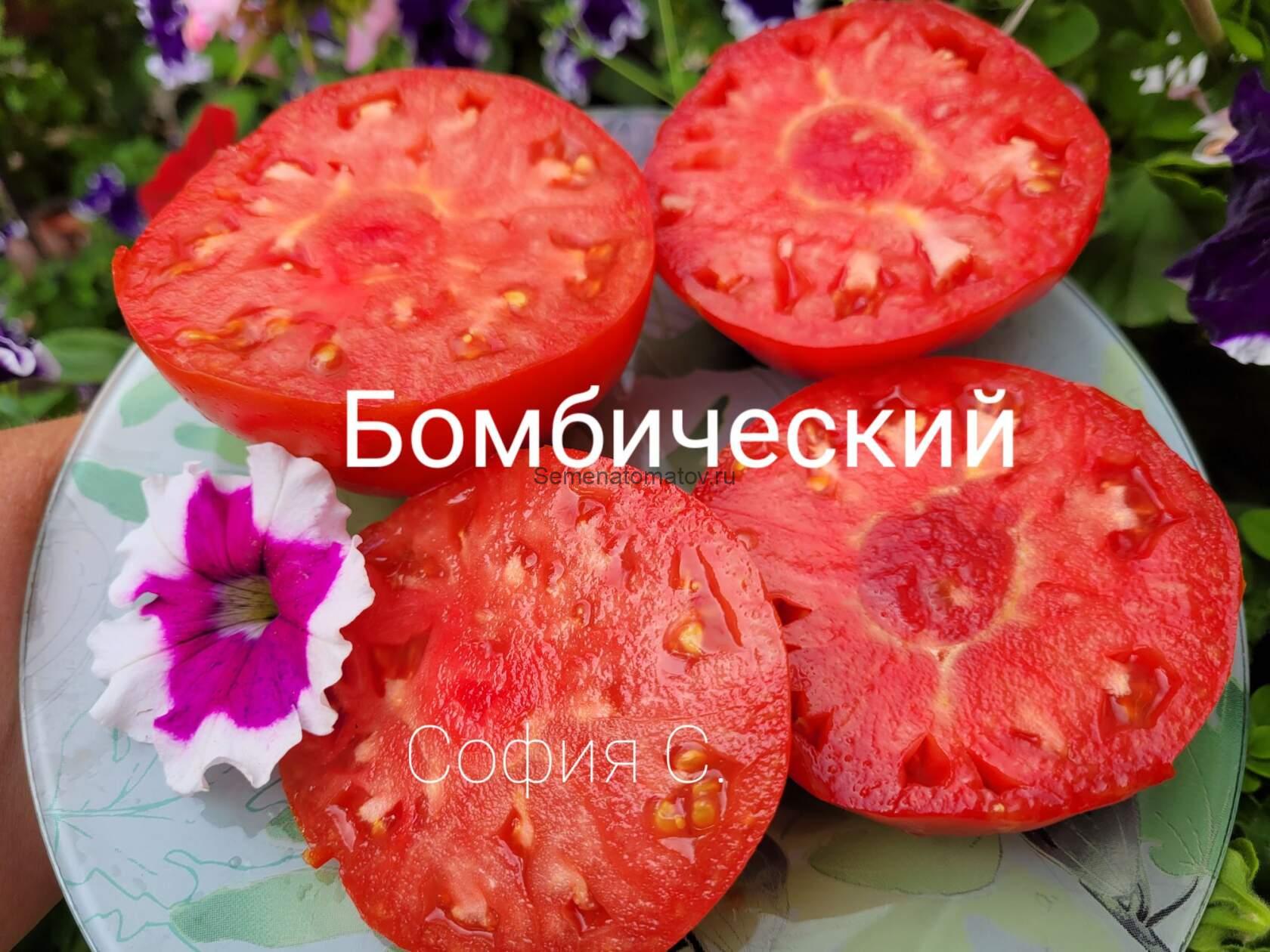 БАБУШКИН ИЗ ТАЙГИ ( БОМБИЧЕСКИЙ ) — изображение 2