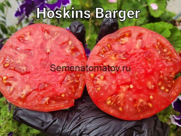 Hoskins Barger (Хоскинс Баргер, США) — изображение 2