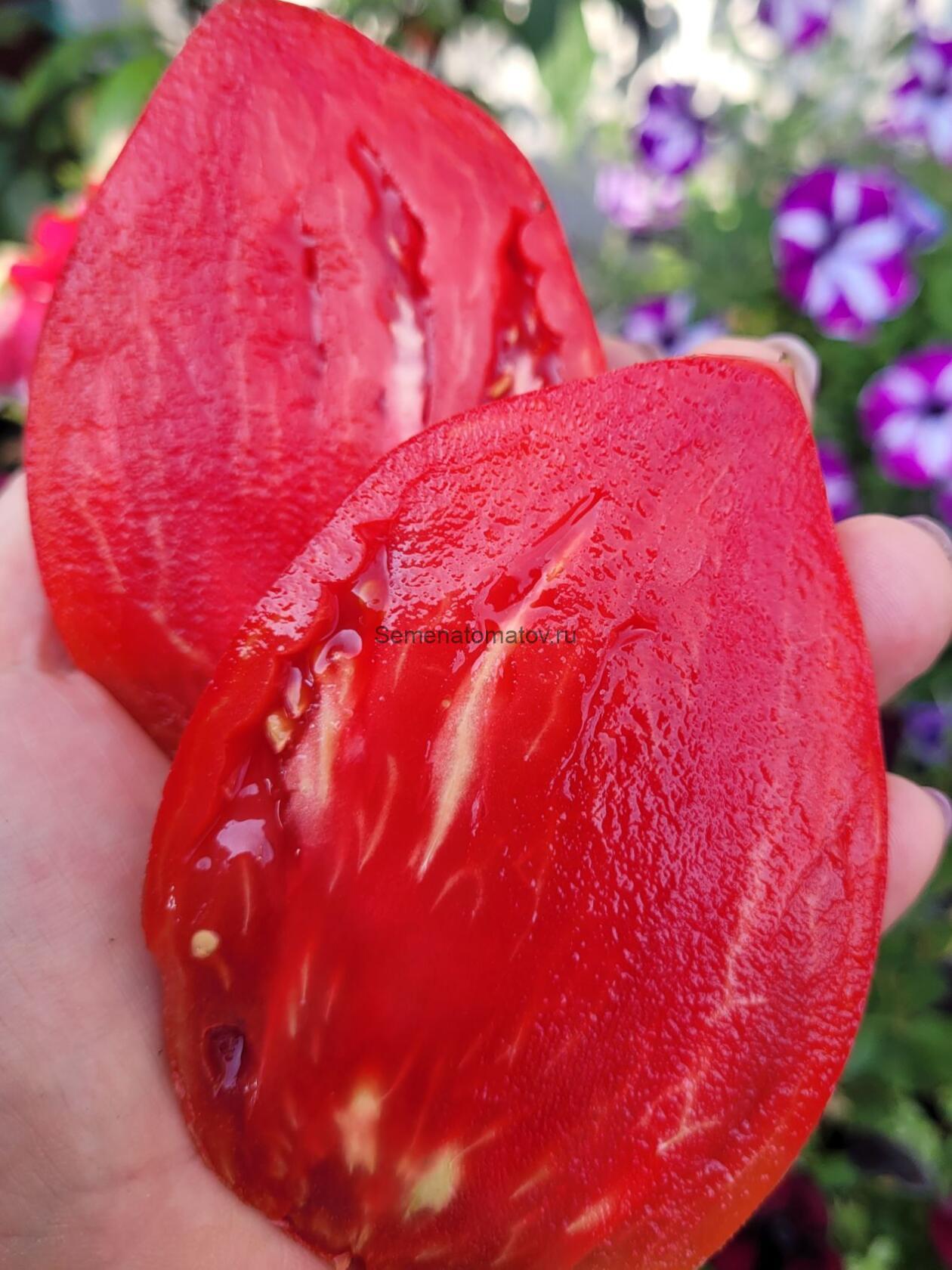 VERO CUORE DI BUE DI BOLOGNA-НАСТОЯЩЕЕ БОЛОНСКОЕ СЕРДЦЕ БЫКА ИТАЛИЯ — изображение 4