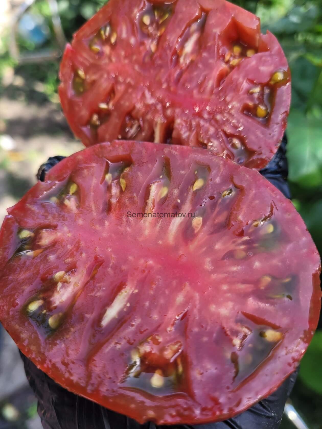 Rosebud Бутон Розы — изображение 3