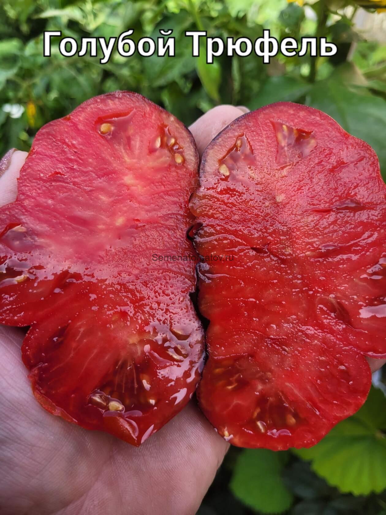 Trufa Azul «Голубой трюфель» — изображение 3