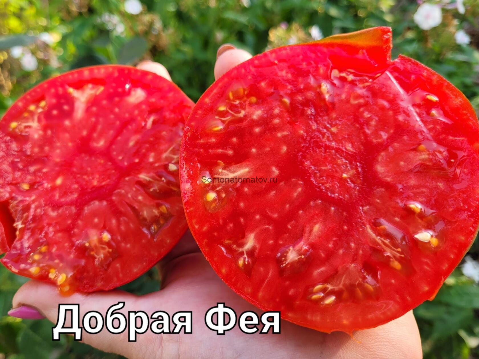 Bonne Fee Добрая Фея Франция — изображение 2