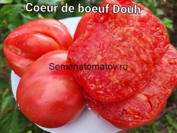 Сoeur ge boeuf douh / Сердце Быка Доух — изображение 2