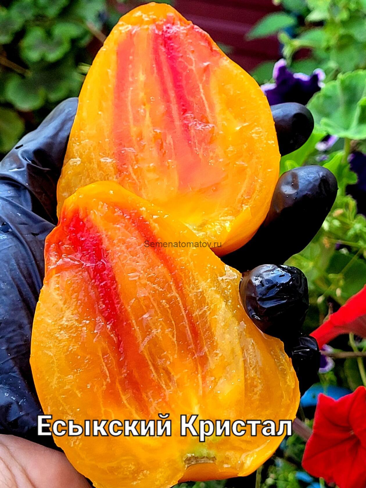 Есыкский Кристалл ( Казахстан) — изображение 2