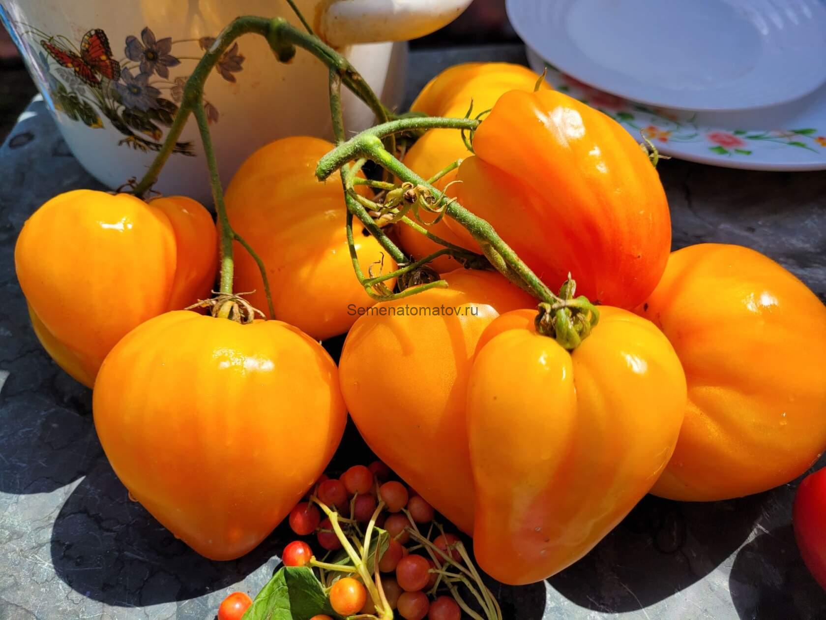 Есыкский Кристалл ( Казахстан) — изображение 3