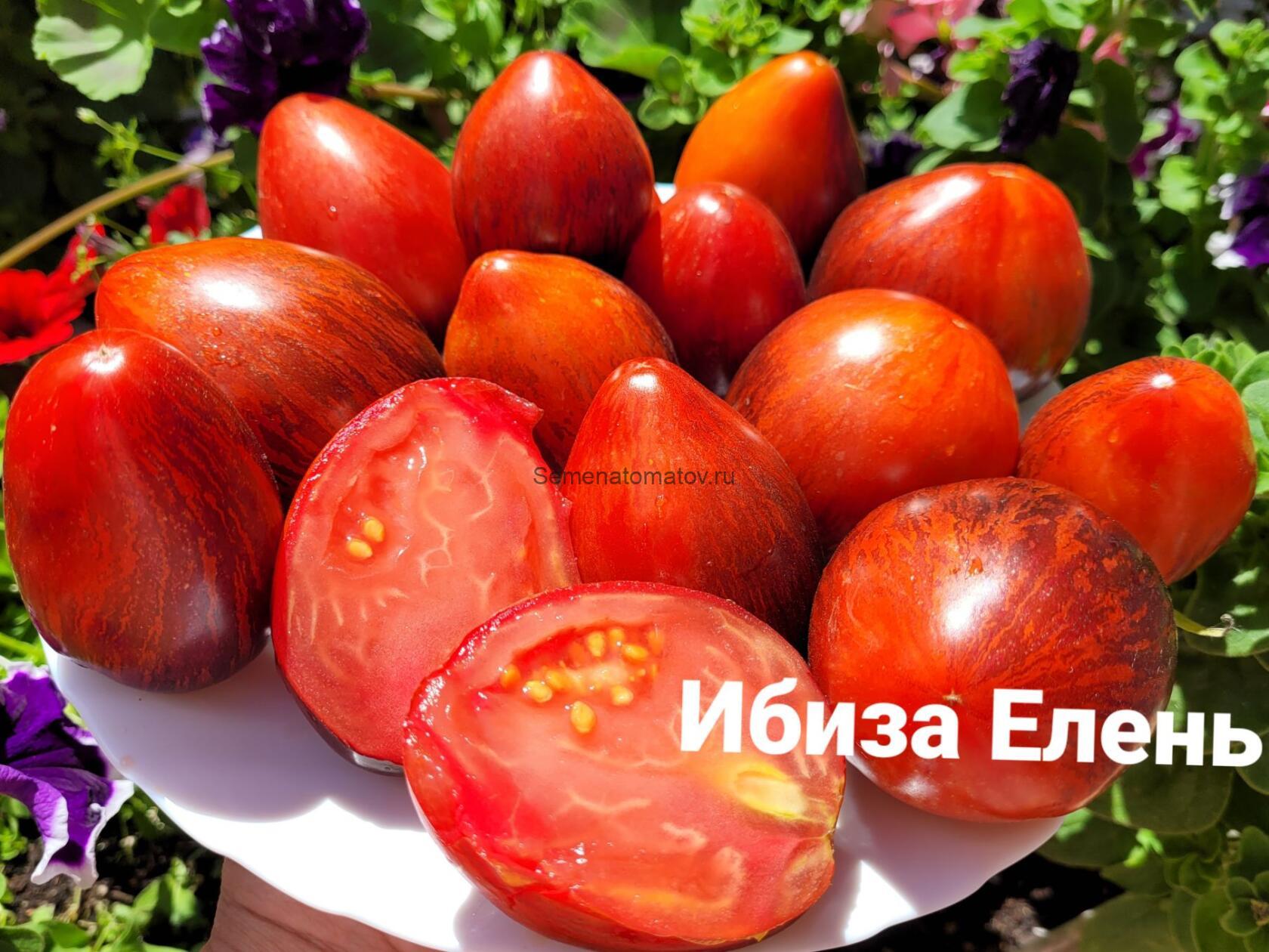 Ibiza Yelena \ Ибиза Елены — изображение 2
