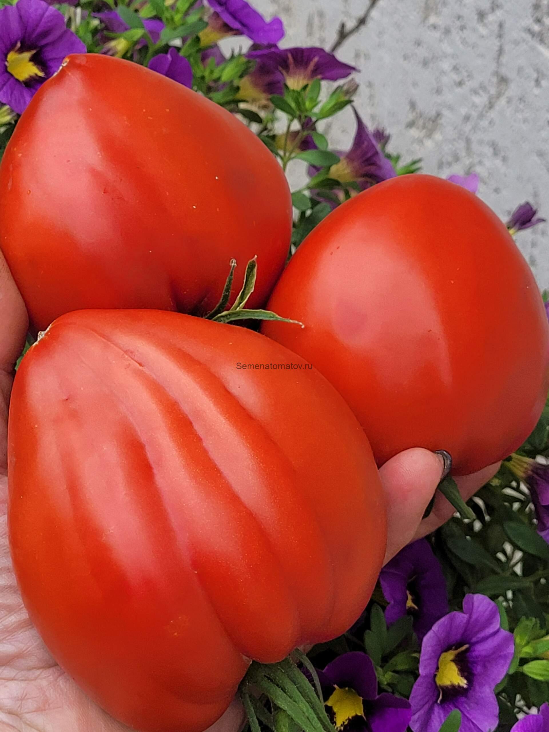 Big Dolly Red--Большая Красная Кукла(Долли) — изображение 2