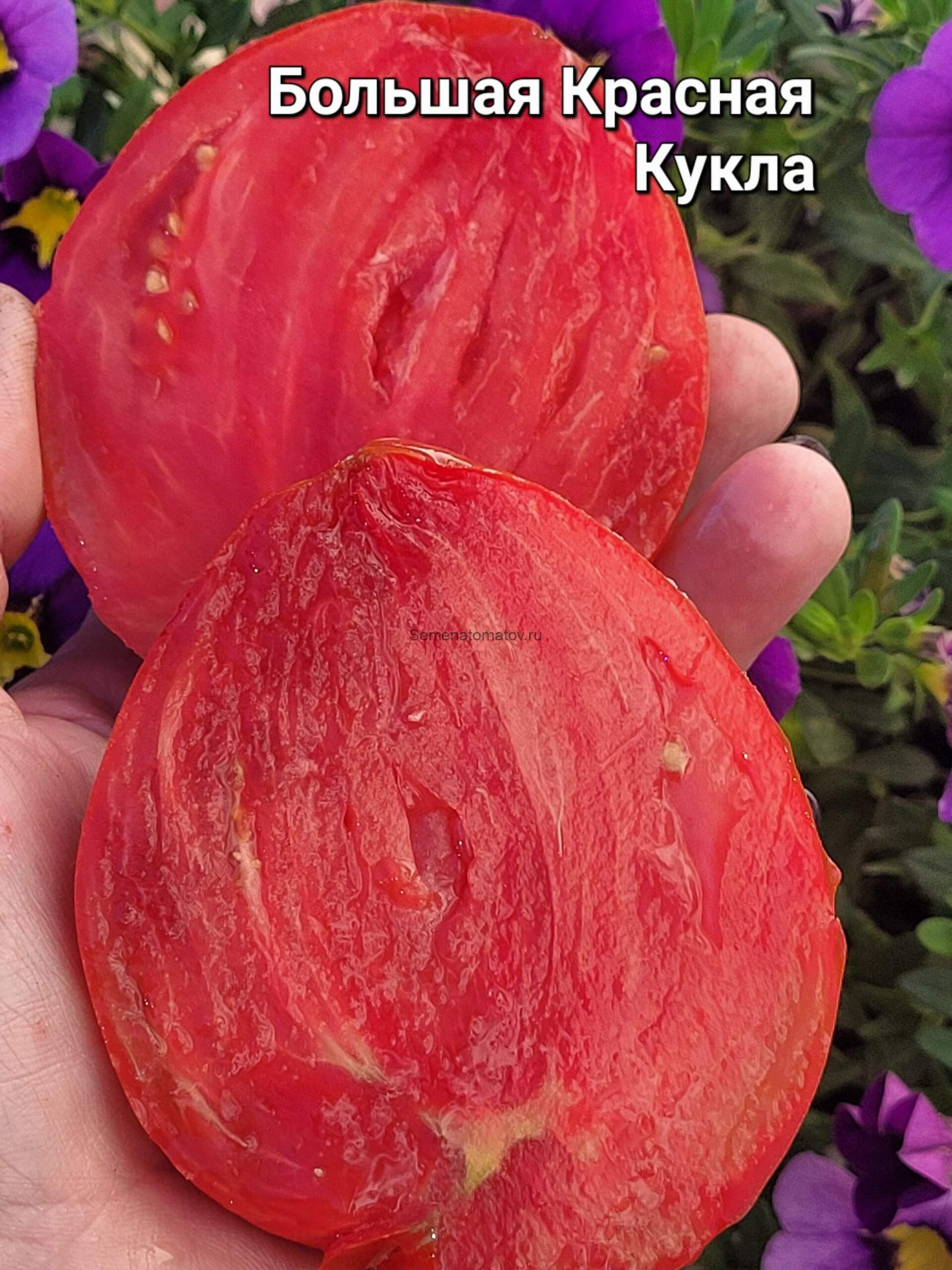 Big Dolly Red--Большая Красная Кукла(Долли) — изображение 4