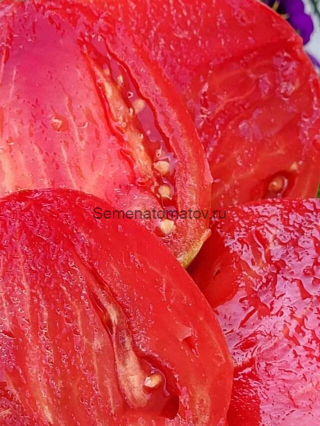 Big Dolly Red--Большая Красная Кукла(Долли) — изображение 3