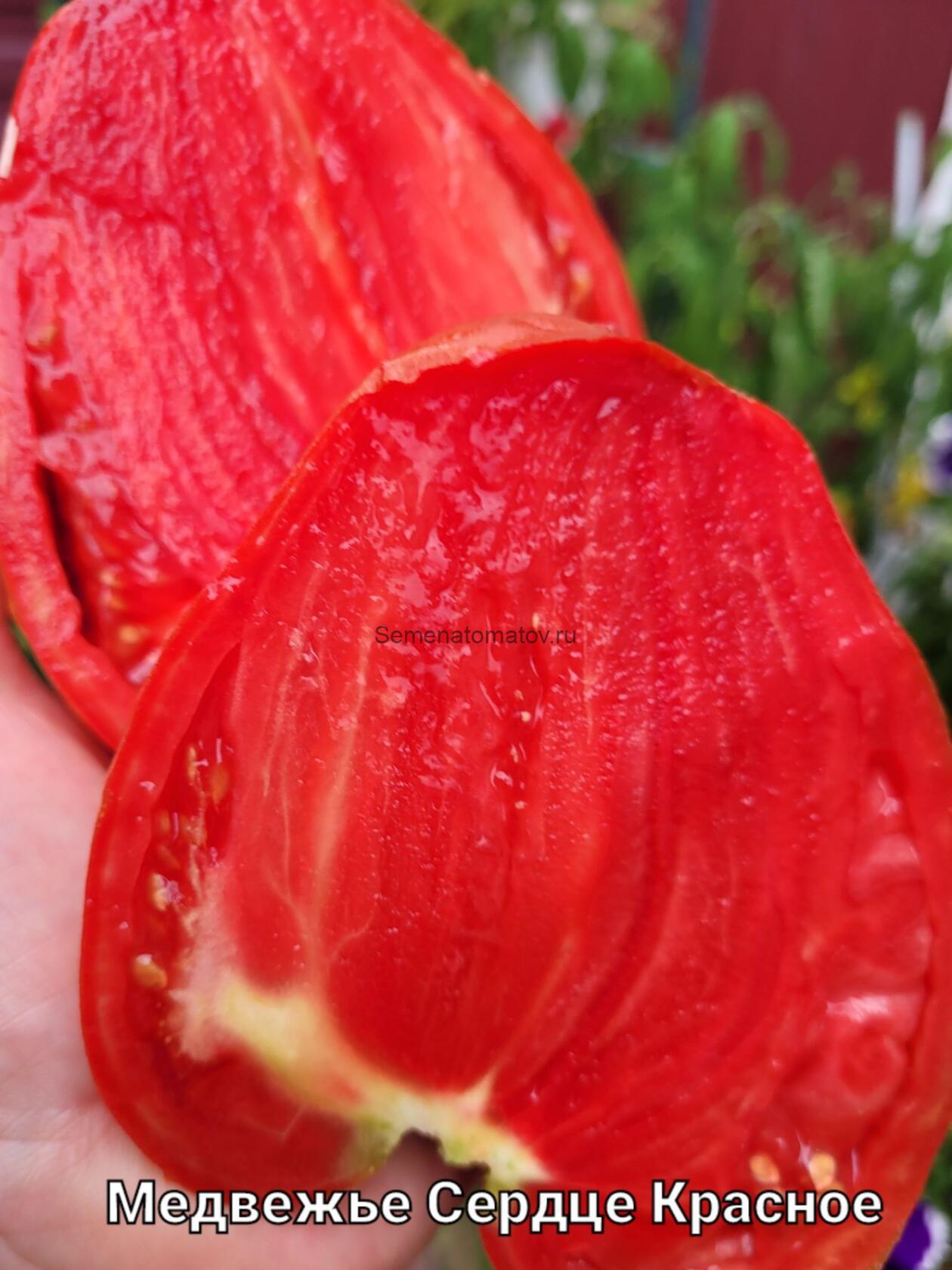 Медвежье Сердце Красное — изображение 2