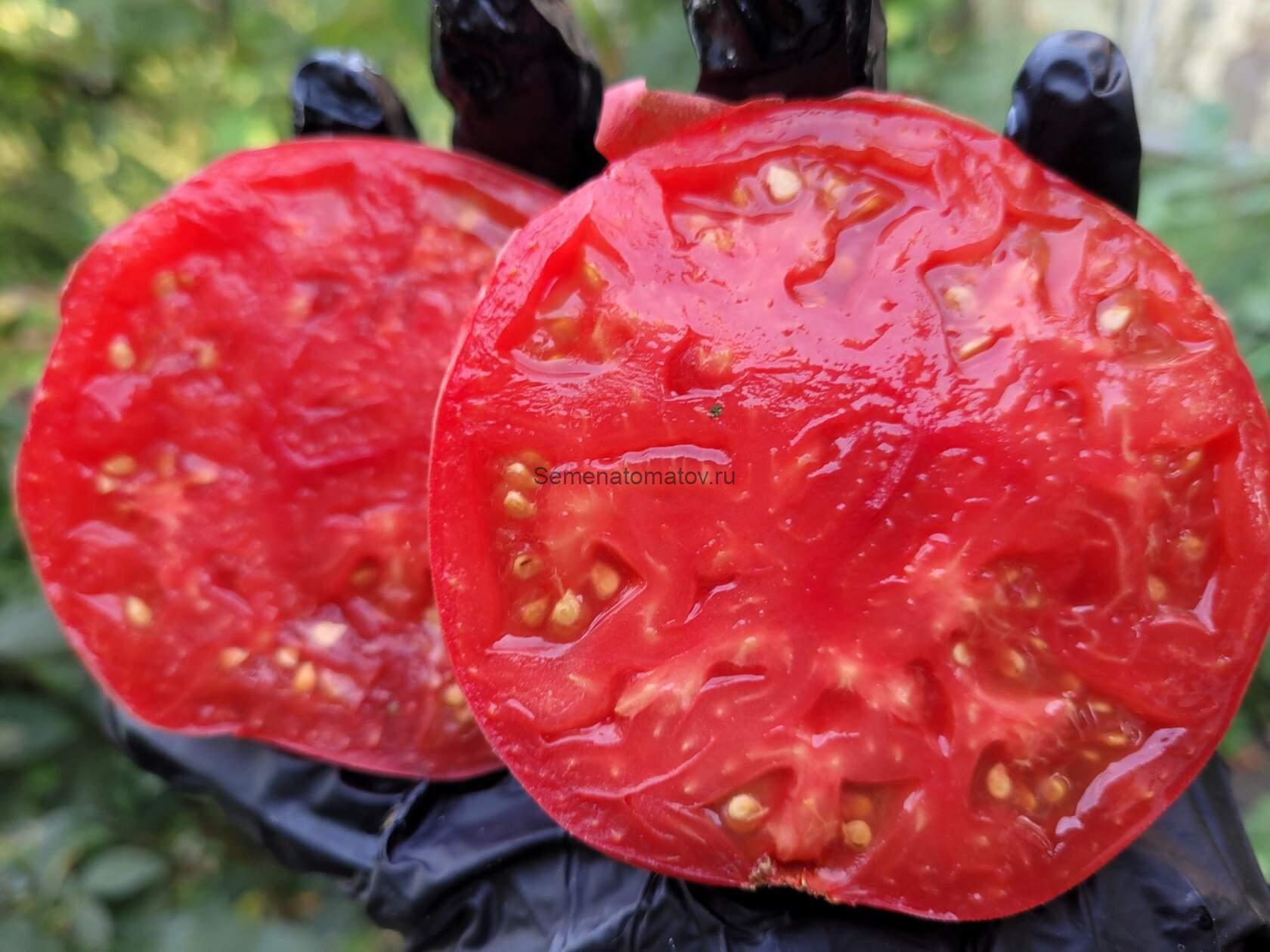 Большой Итальянский Миссис Максвелл (Mrs Maxwell’s Big Italian)Италия — изображение 2