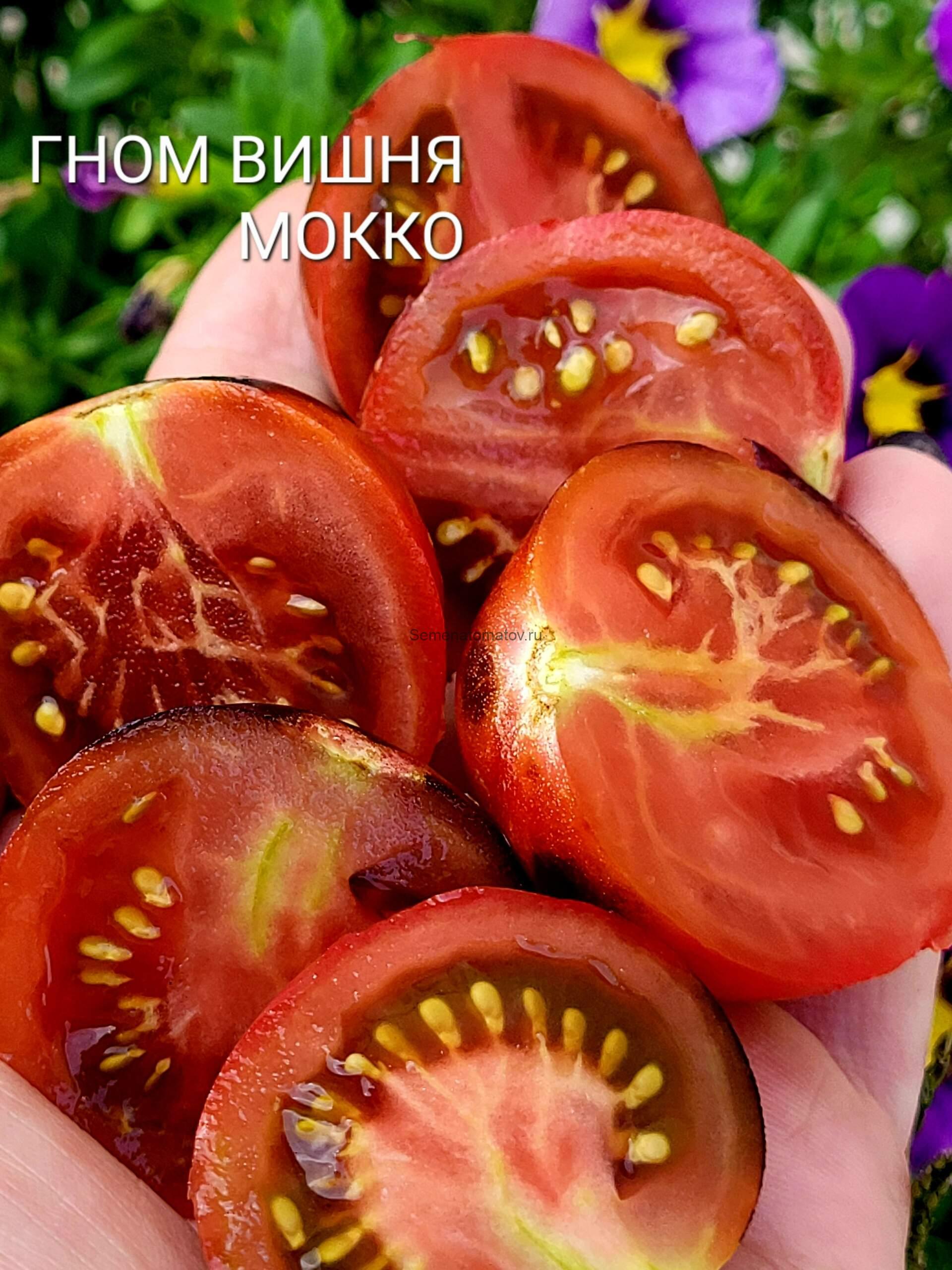 Dwarf Mocha's Cherry Tomato гном  Вишня Мокко — изображение 2