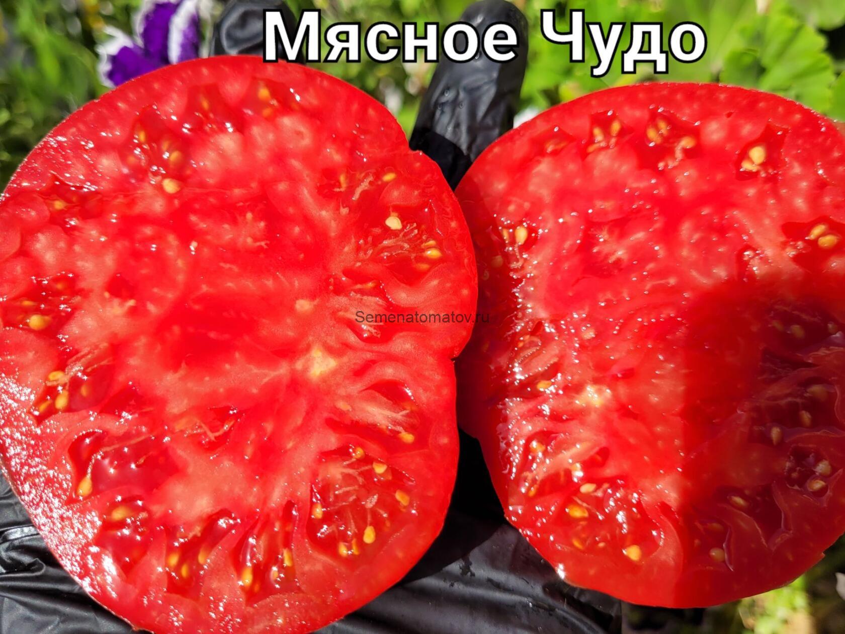 Мясное чудо /Fleish Wunder — изображение 2