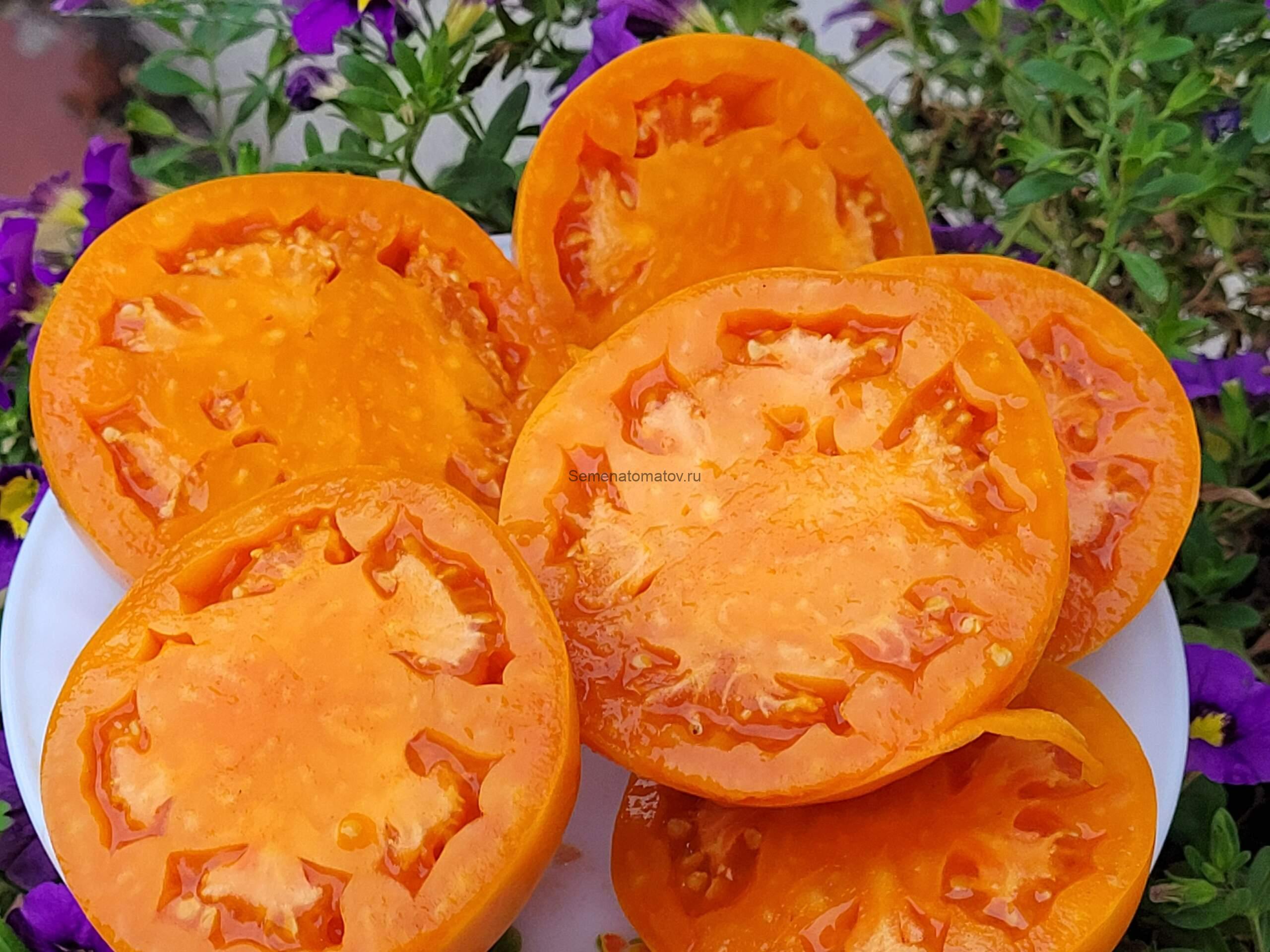 Regalo Daii'Italia  Подарок из Италии — изображение 2