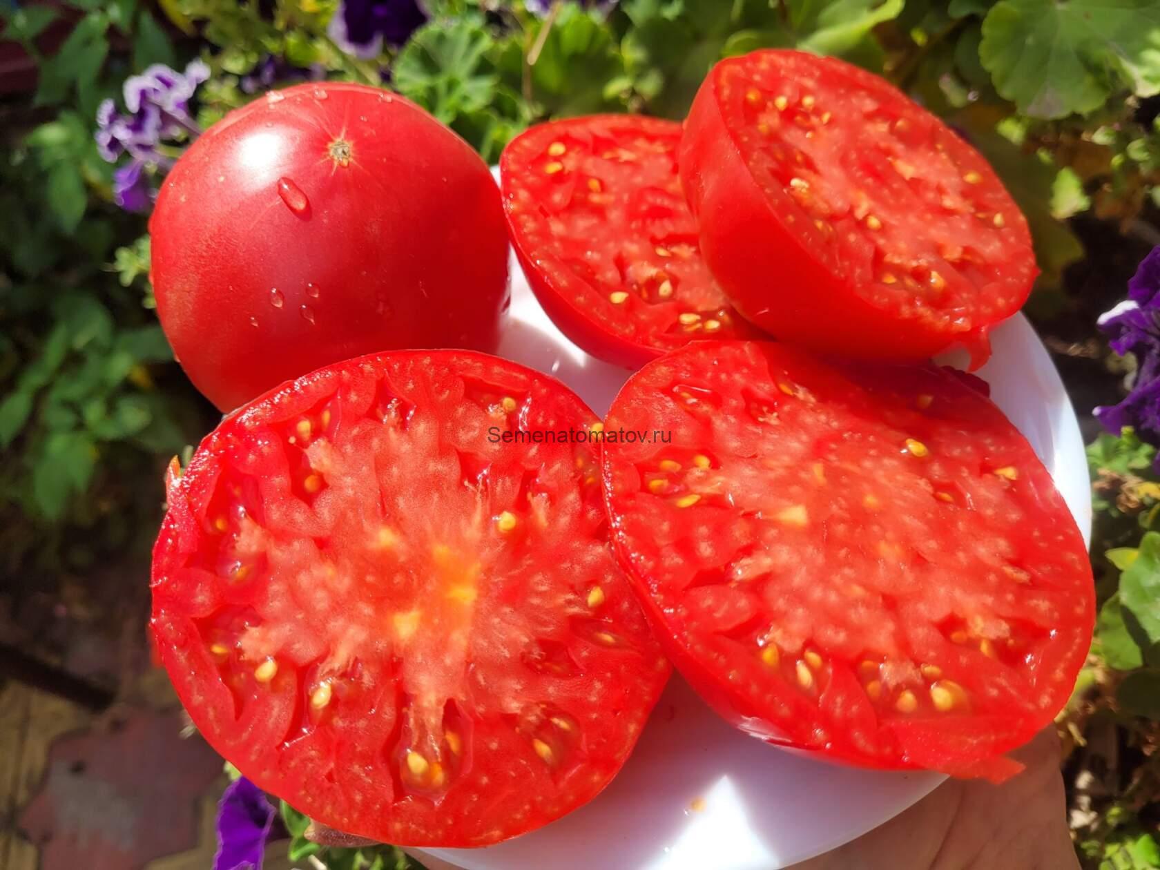 Rebekah Allen----- Ребекка Аллен — изображение 2