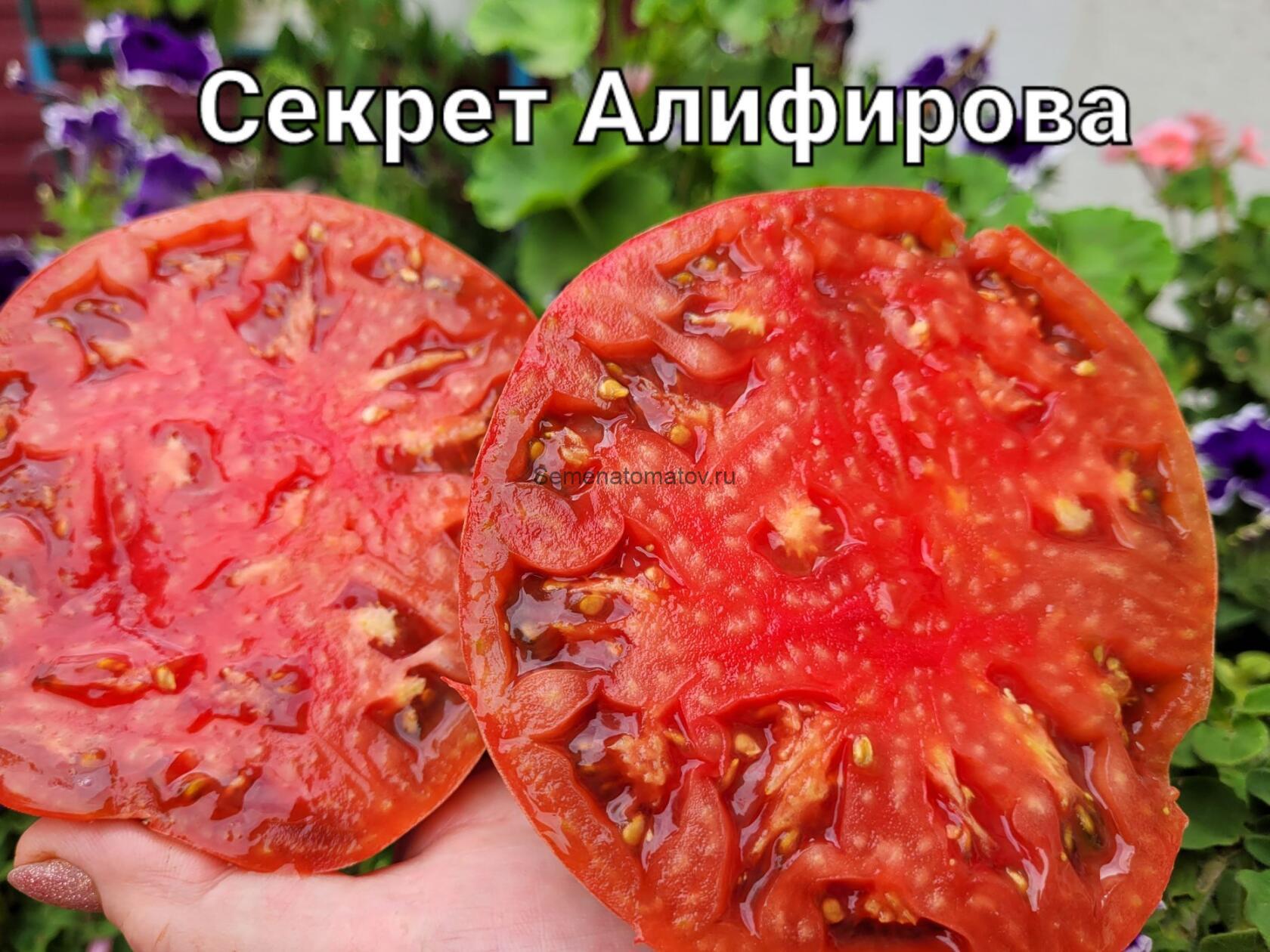 Секрет Алифирова Простой Лист (Казахстан) — изображение 2