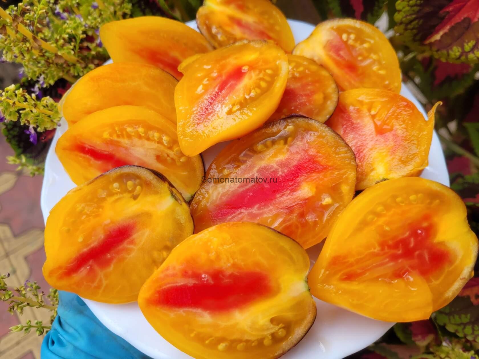 Сержант Пеппер Биколор  Сердце — изображение 2