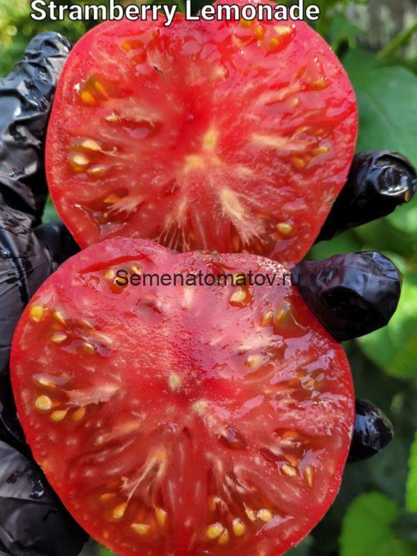 Dwarf Strawberry Lemonade Tomato Гном Клубничный Лимонад — изображение 2