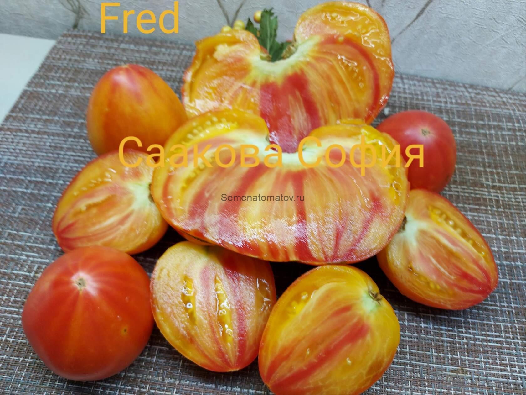 Fred Друг — изображение 2