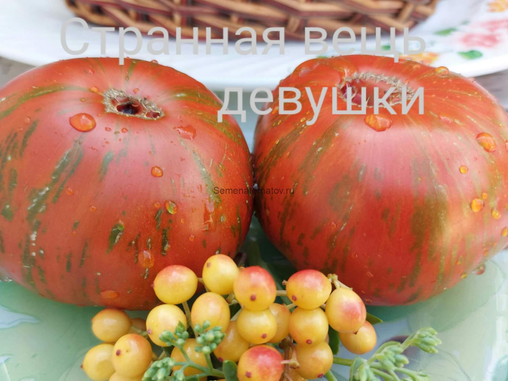 Girl Girl’s Weird Thing' 'Странная Вещь Девушки',