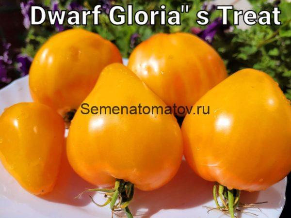 Dwarf Gloria's Treat Tomato Гном Угощение Глории