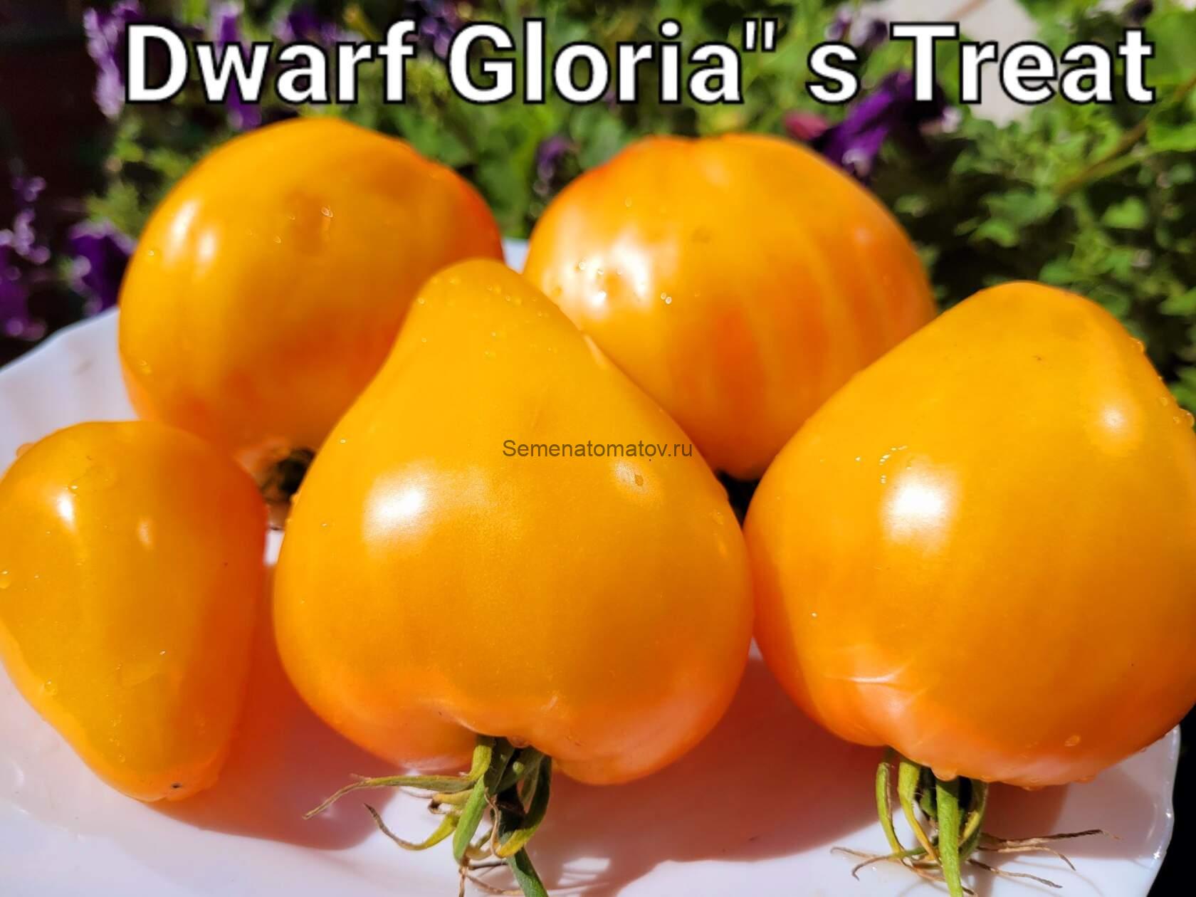 Dwarf Gloria's Treat Tomato Гном Угощение Глории