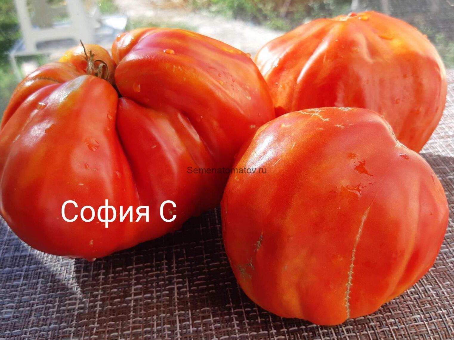 Козий Мешок Goat Bag